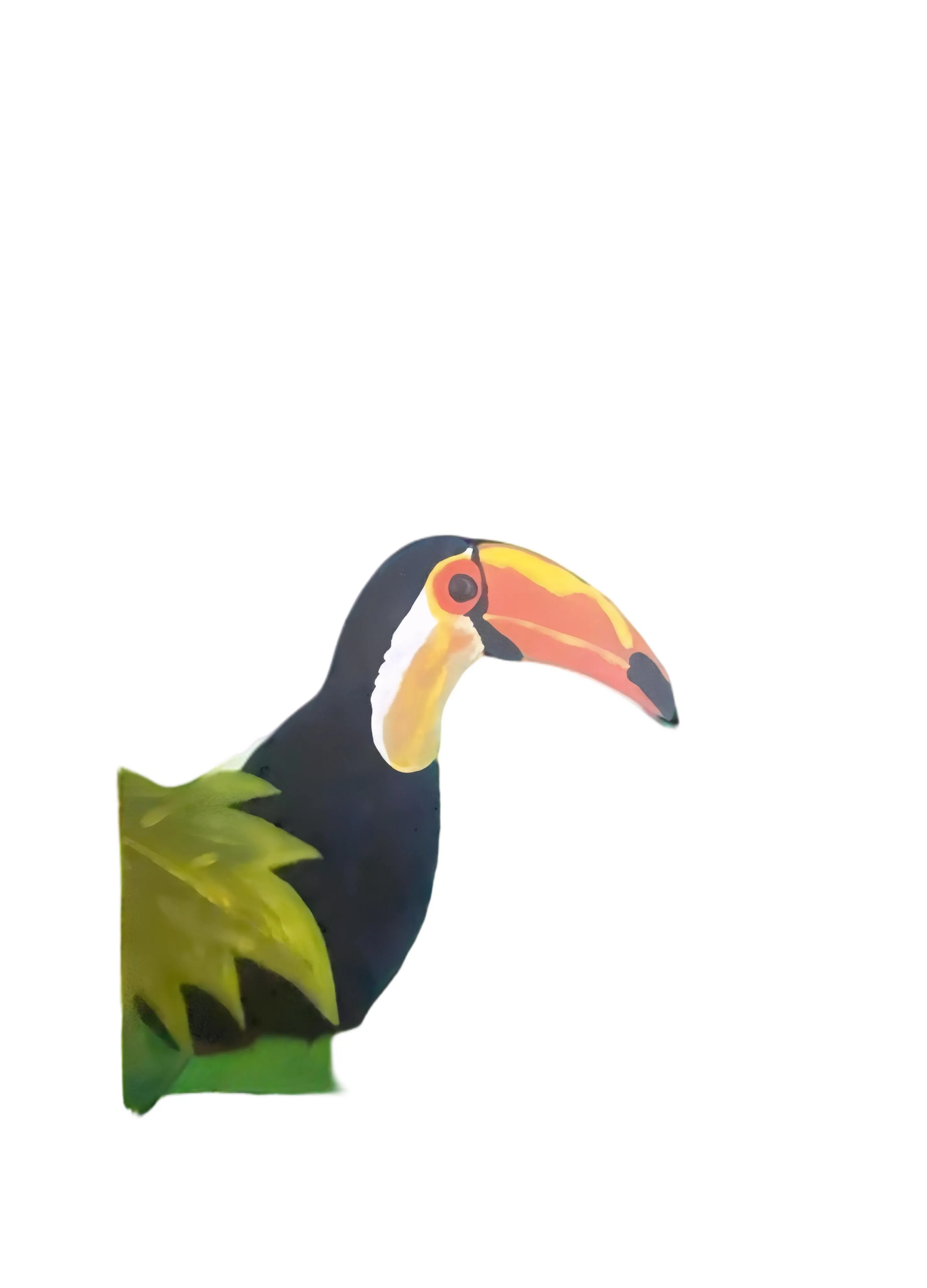 Toucan